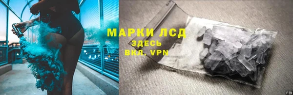трава Няндома