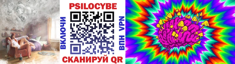 закладки  Богучар  Галлюциногенные грибы MAGIC MUSHROOMS 