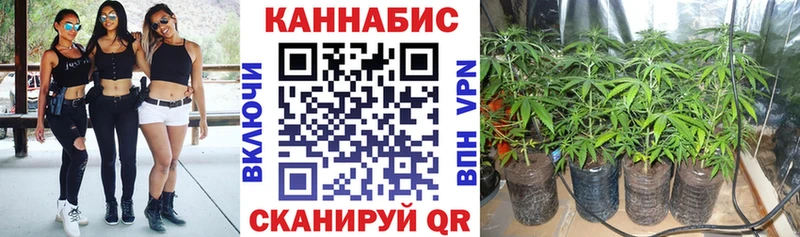 наркотики  Богучар  Каннабис сатива 